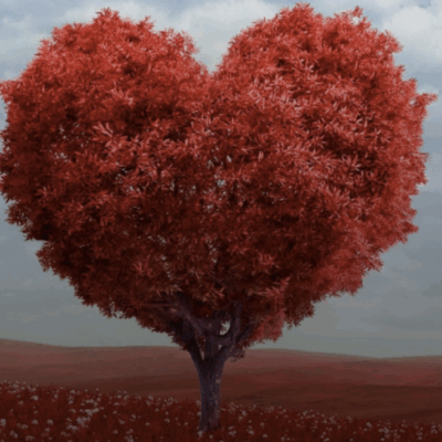 Tu B’Av: Celebrating Bonds Between People