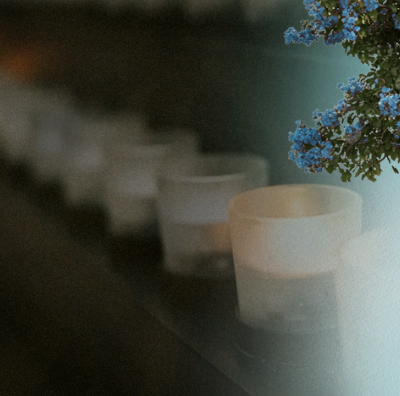 Remembering the Holocaust, Cultivating New Growth