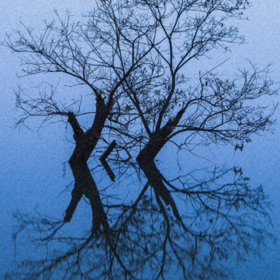 Counting the Omer: the Courage to Self-Examine 